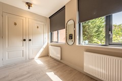 Goudzoeker 21-30.jpg